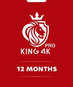 KING 4K (NEO 4K) 12 Months - KEY GLOBAL